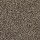 Horizon Carpet: Ideal Outlook Melted Caramel